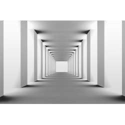 Fototapeta Tunel w czerni i bieli nr F213287