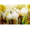 Fototapeta tulipany aranżacje nr F213400