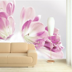 Fototapeta fioletowa orchidea do salonu nr F213017