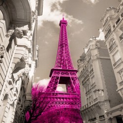 Fototapeta Paryż wieża Eiffla do sypialni nr F213037